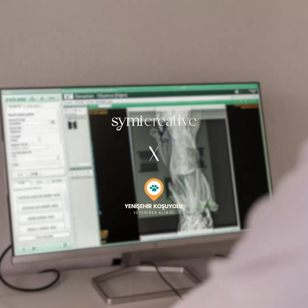 yenişehir koşuyolu veteriner kliniği
